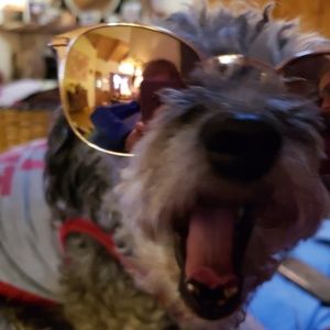 Meet your Posher, Sara